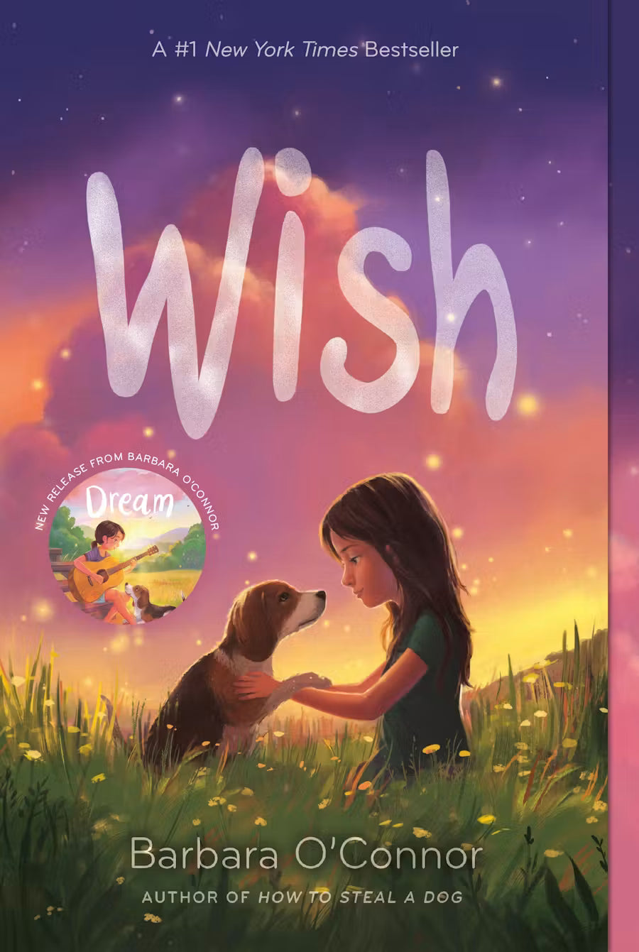 Wish Autor: Barbara O'connor