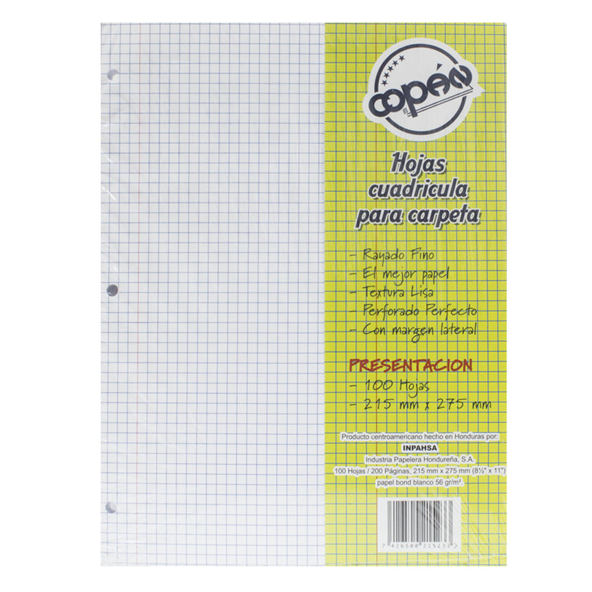 G. Escolar - Hojas Cuadriculadas paq. 100 hojas